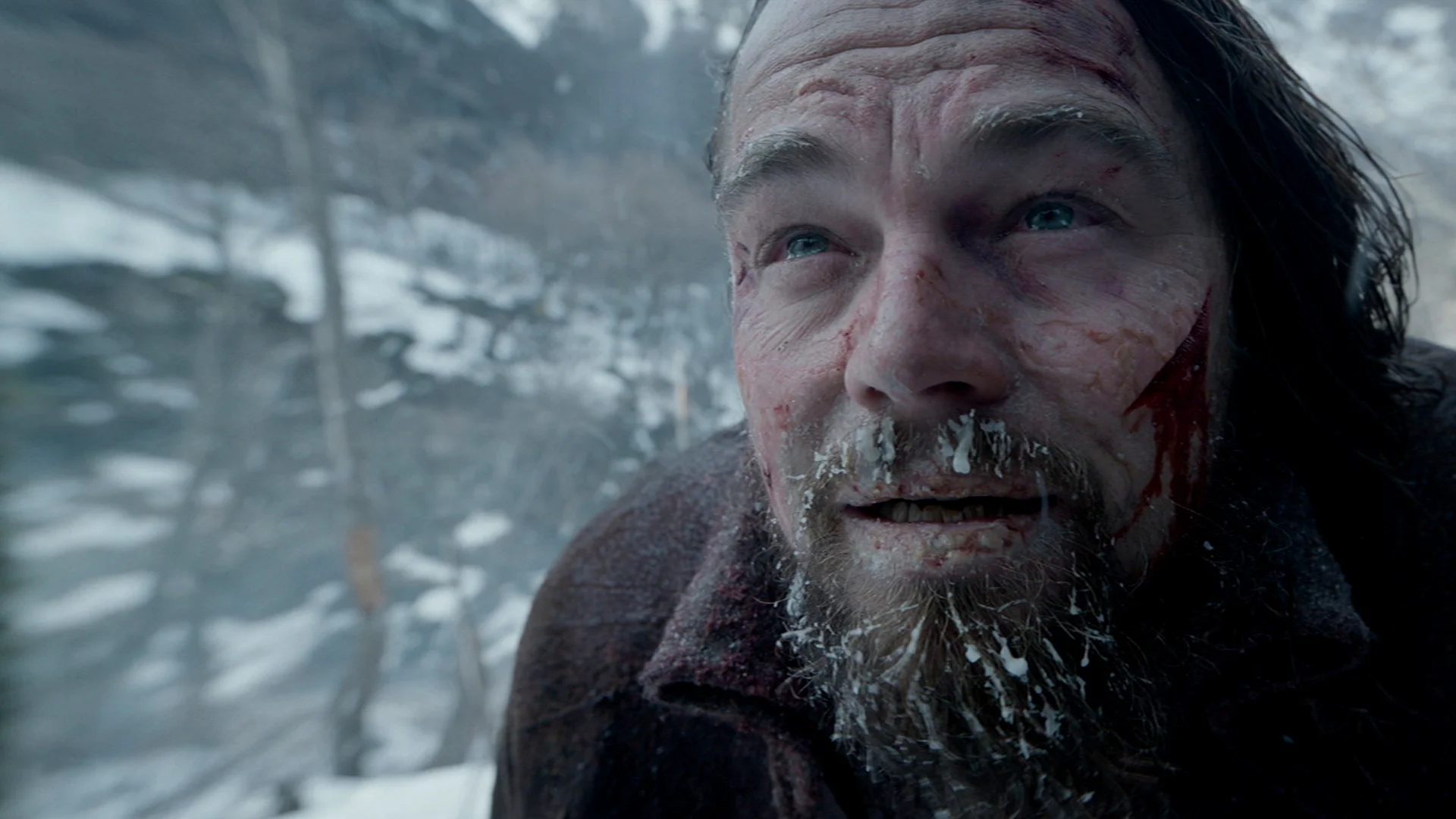 The Revenant - Review