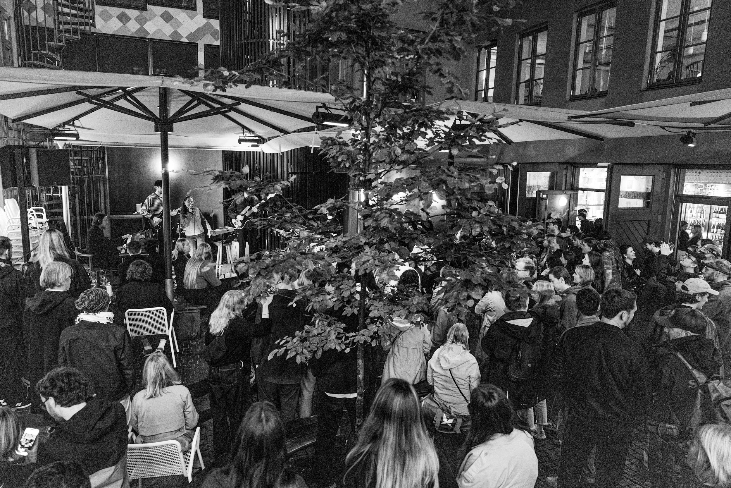 Becco 1_TorleifKvinnesland_Tullinfest2025_MG_4851.jpeg