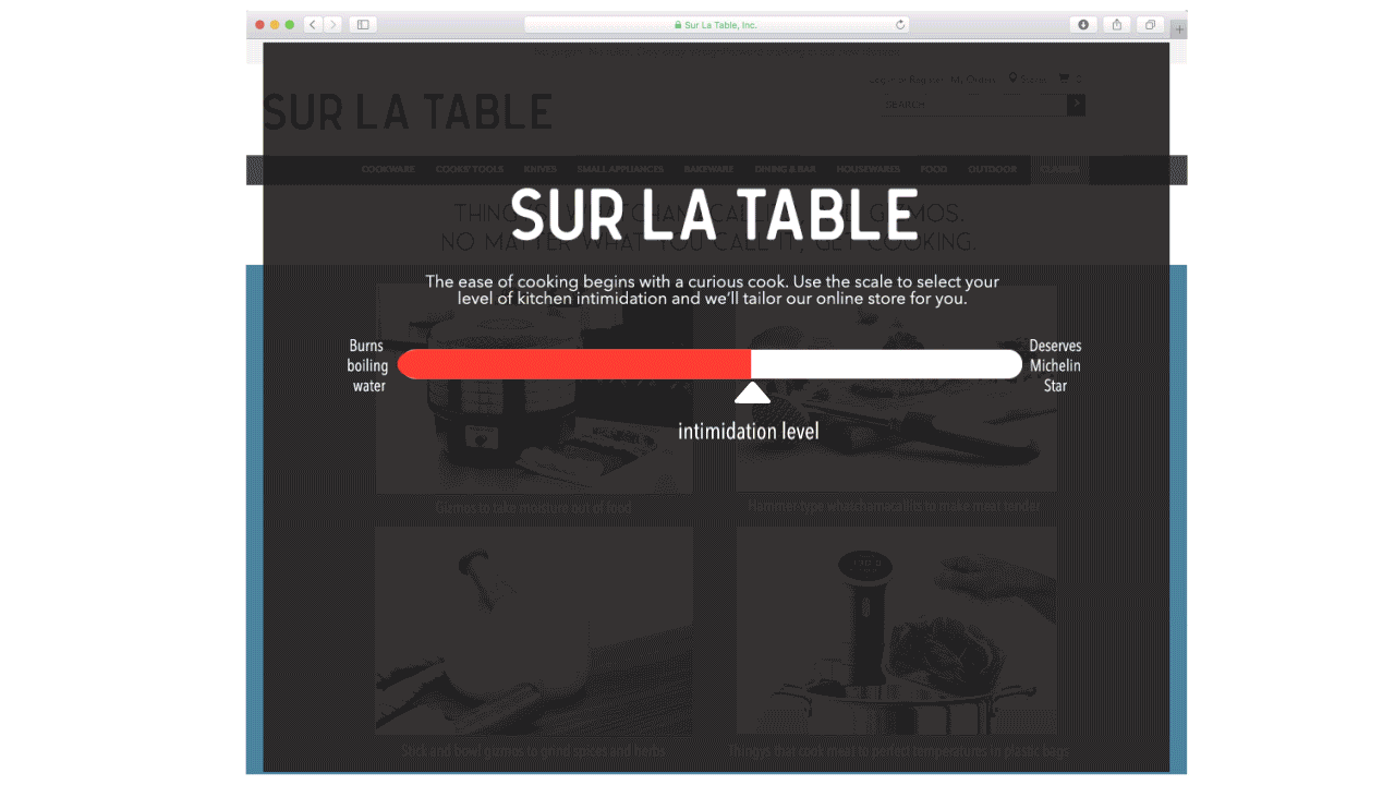 surweb.gif