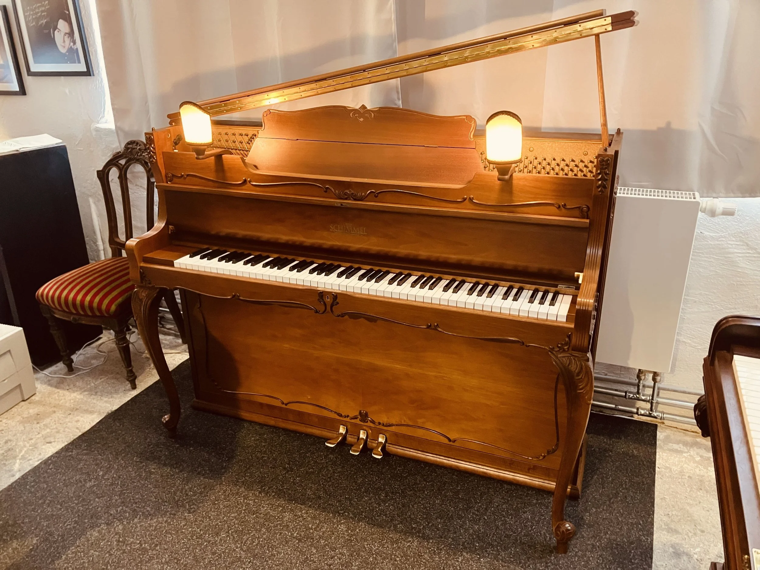 IMG_7093.jpeg