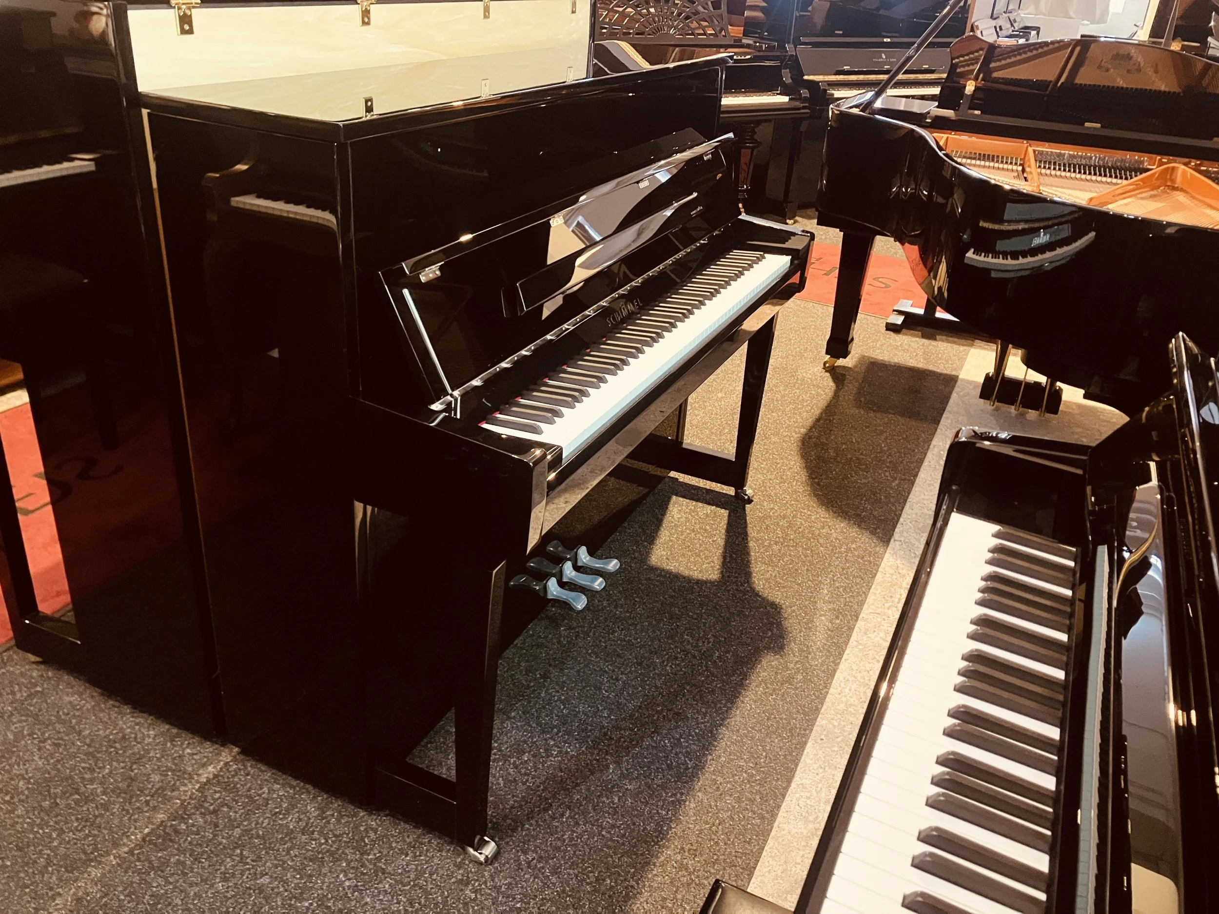IMG_7810.jpeg