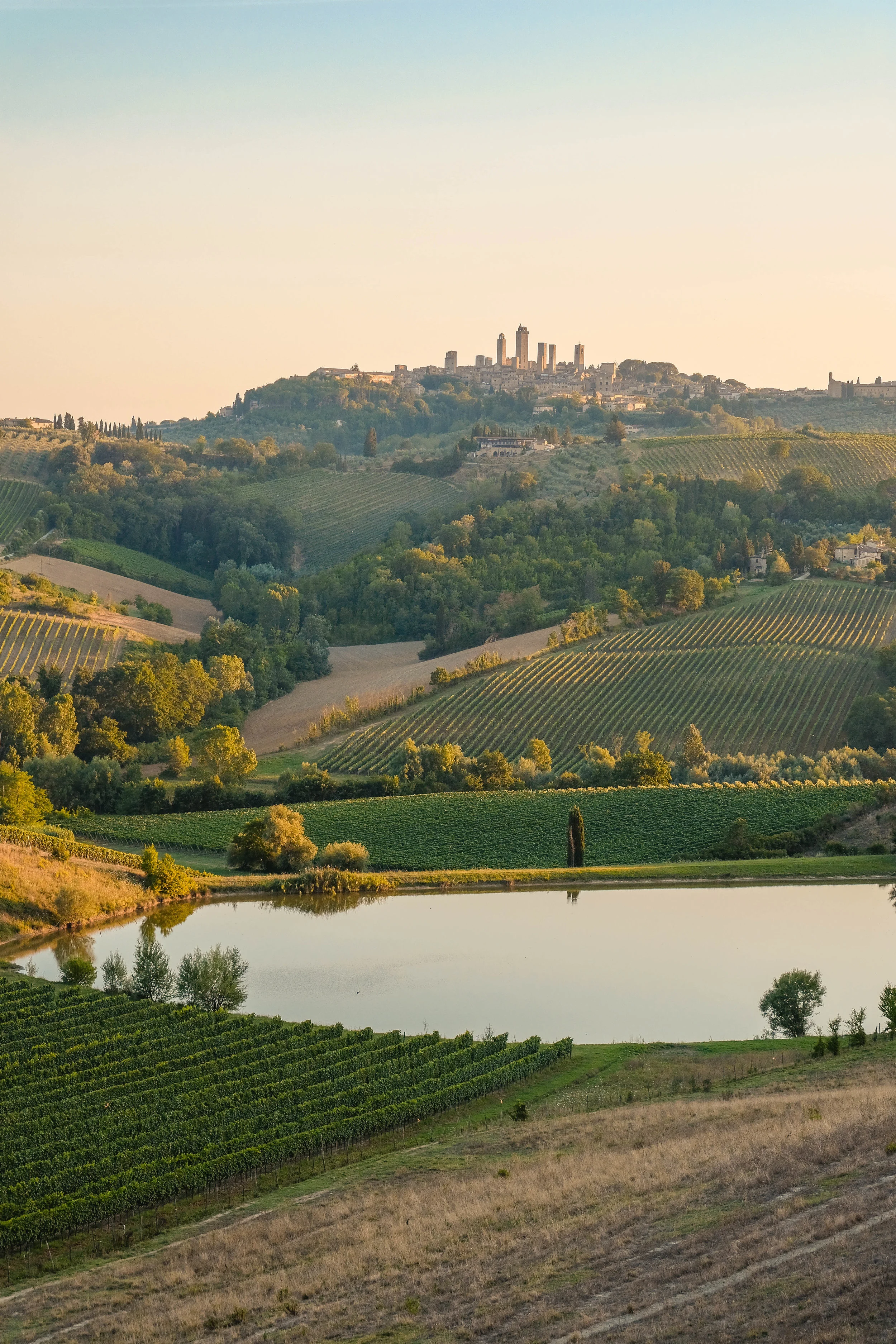 Borgo alle Vigne Update - April 2020