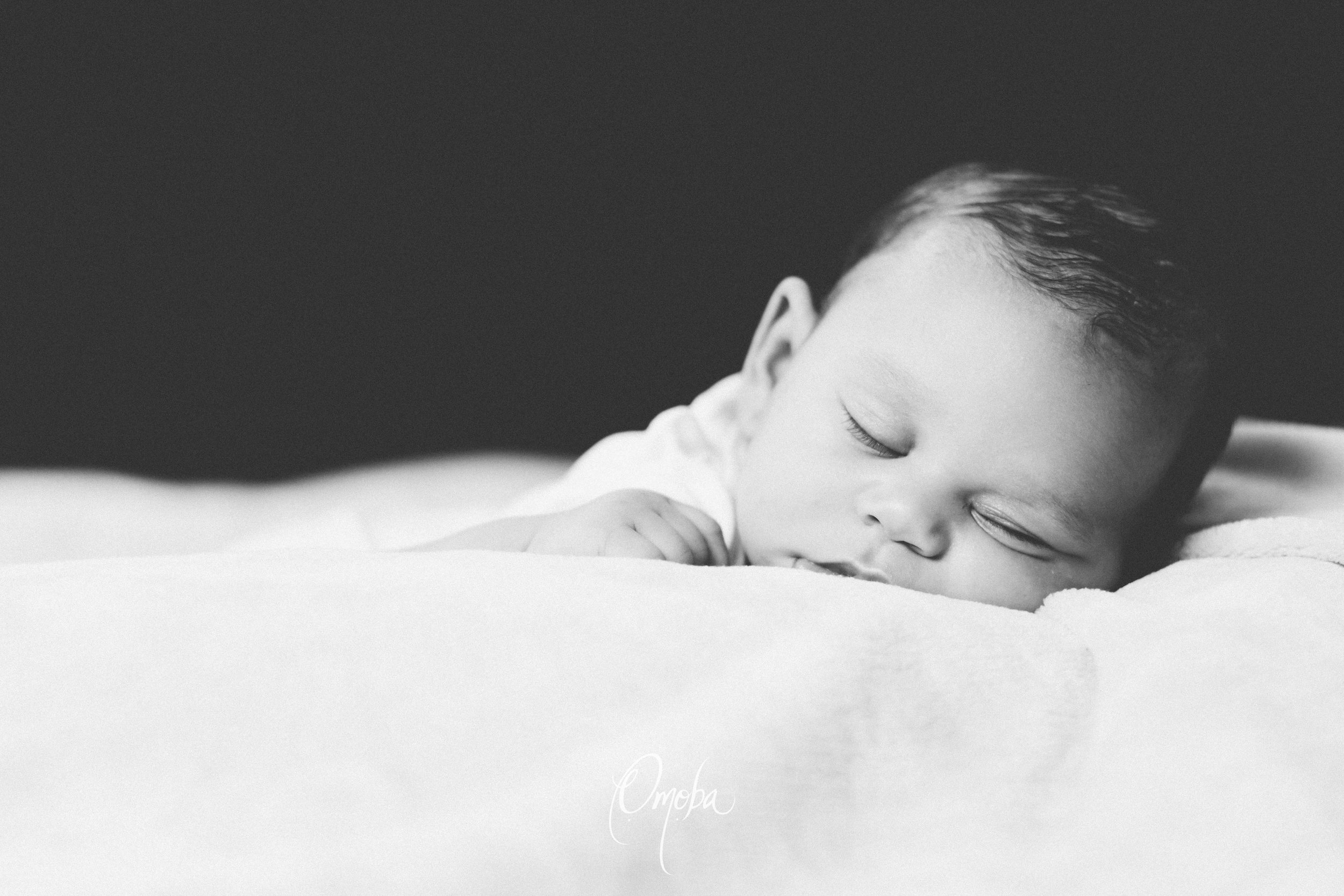Beau-William 3m-2.jpg