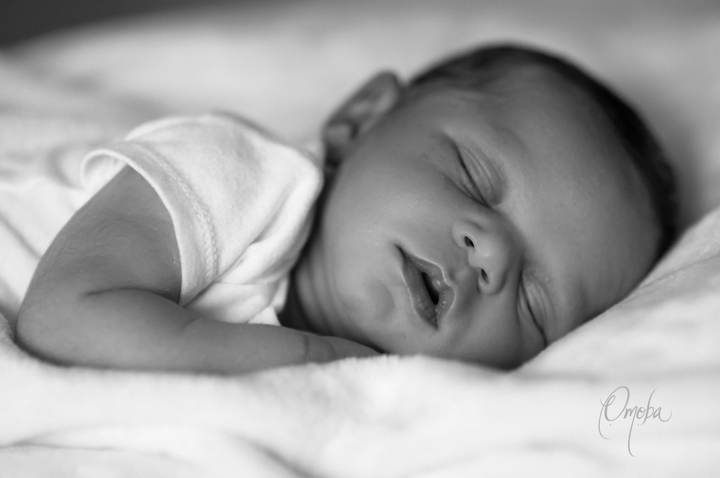 Beau-William-9.jpg