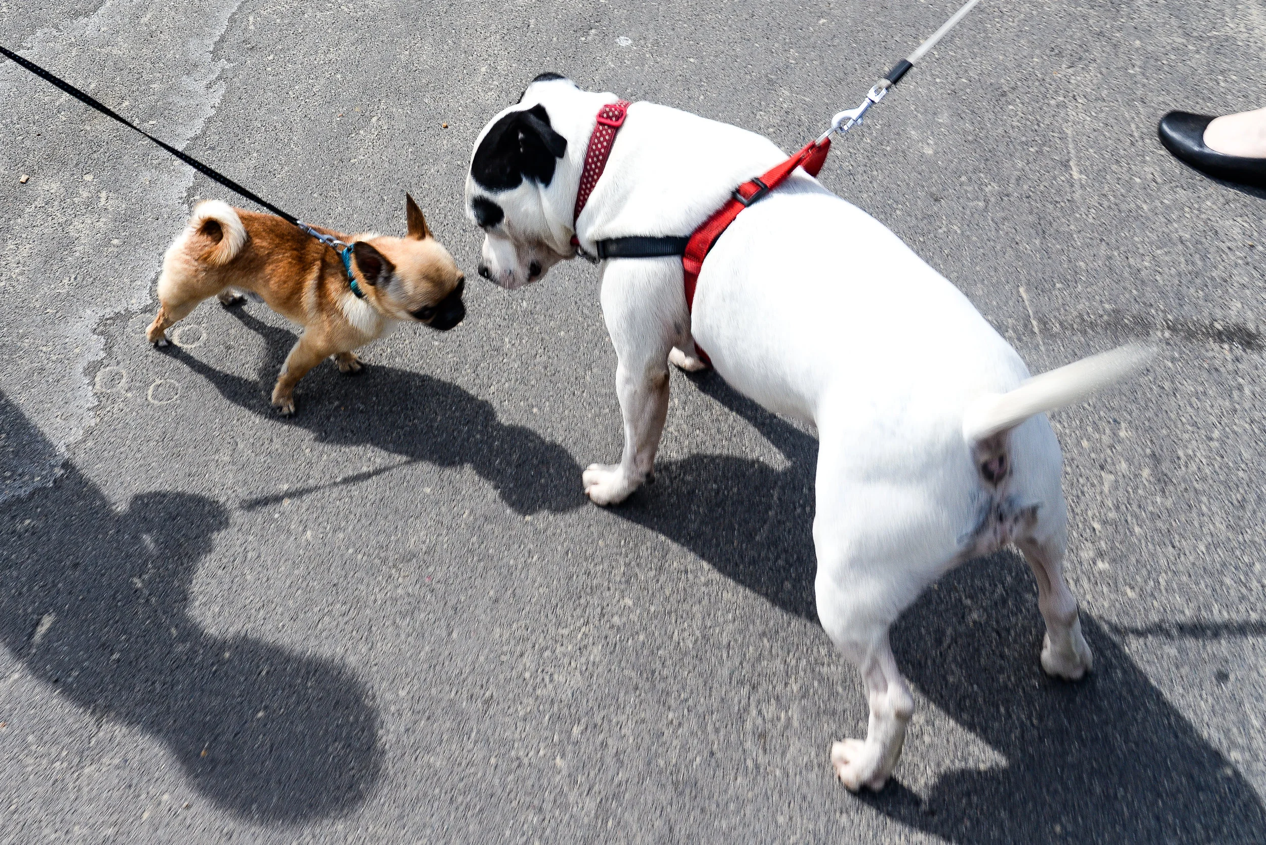 Standoff