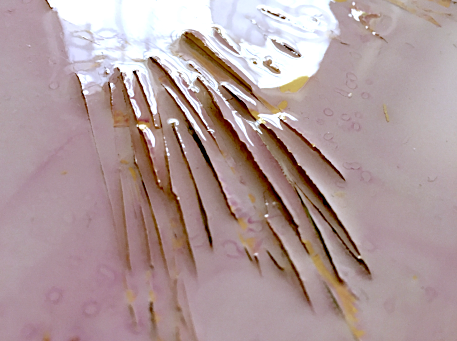 Screen Shot 2022-01-05 at 11.17.40 PM.png