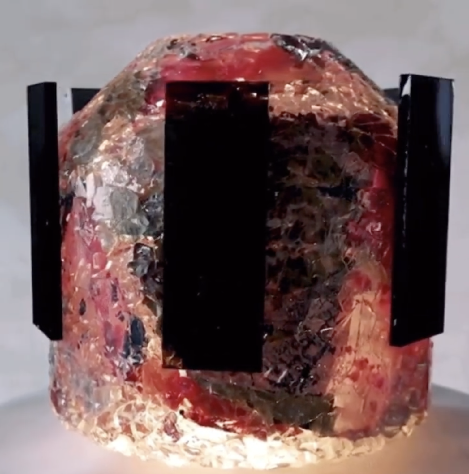 Screen Shot 2022-03-29 at 12.54.49 PM.png