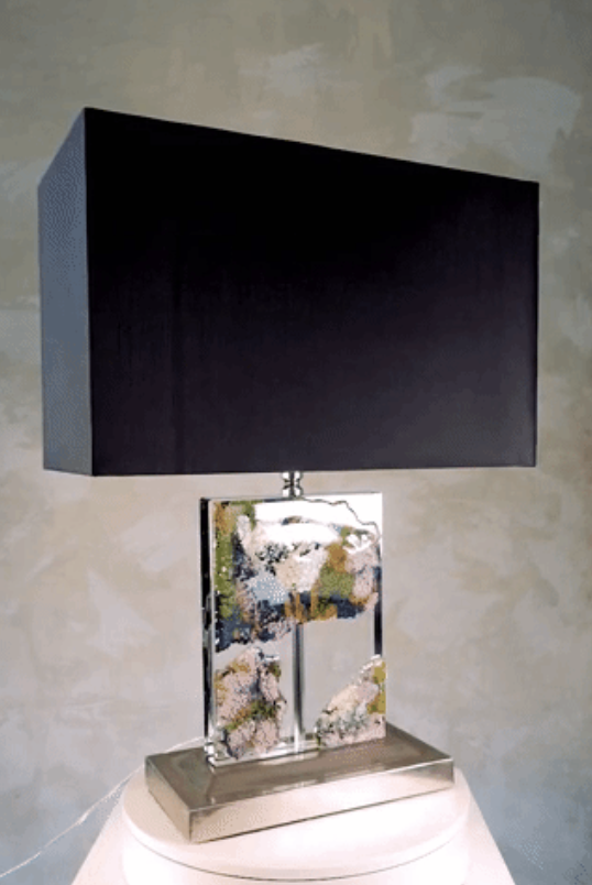 Screen Shot 2022-01-05 at 8.11.18 PM.png