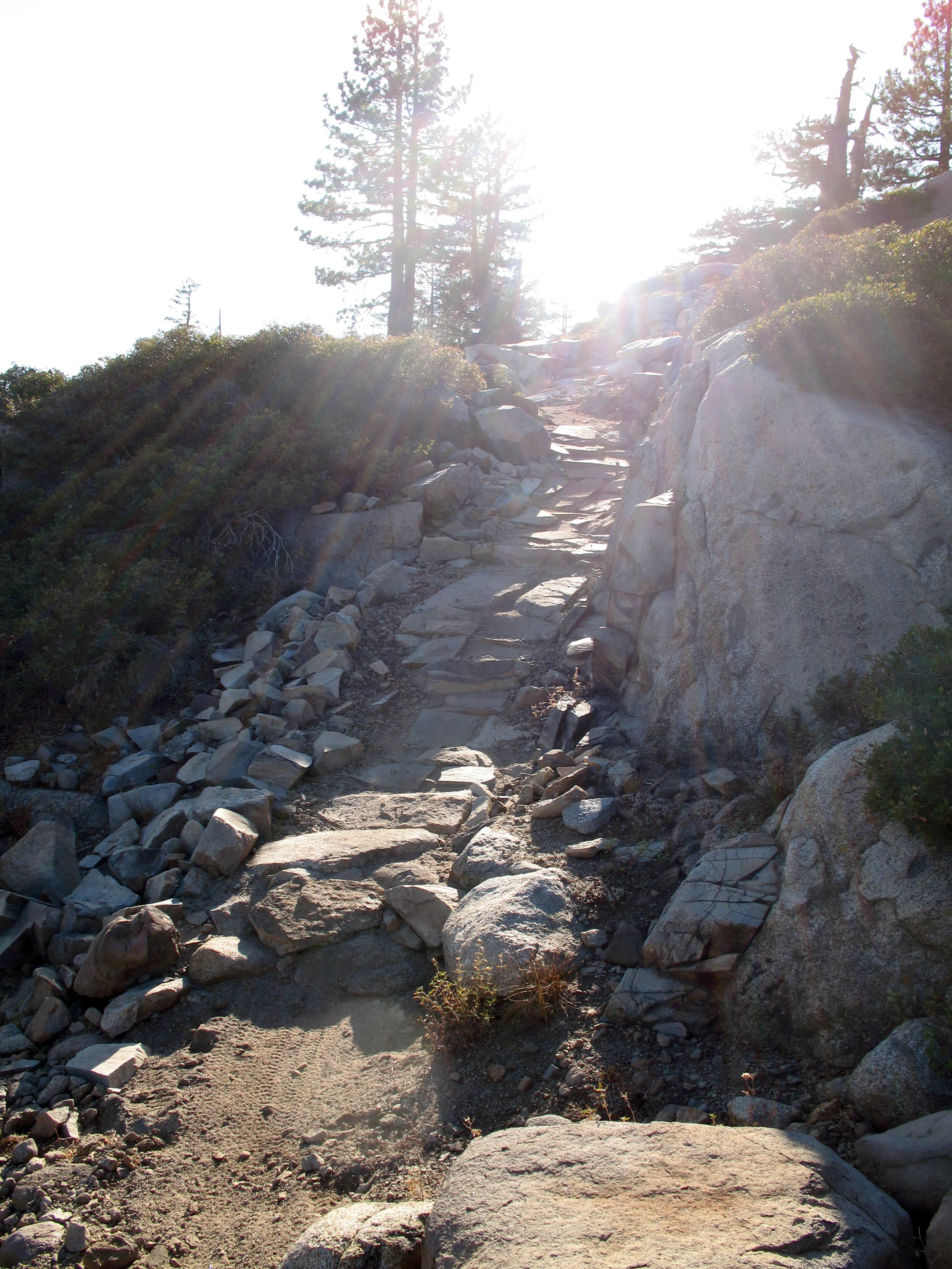 West Truckee - Donner Rim Trail