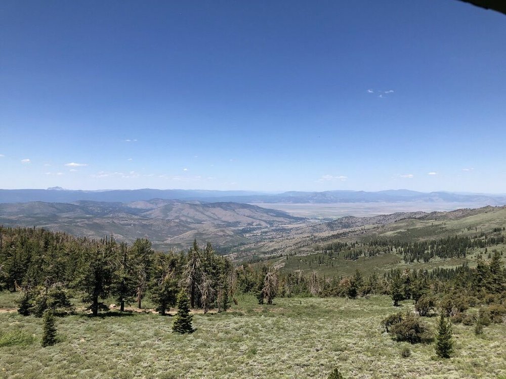view north Sierra Valley.jpg