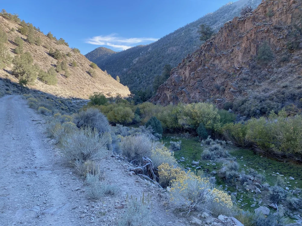  The return downhill road was delightful compared t the rocky climb. 