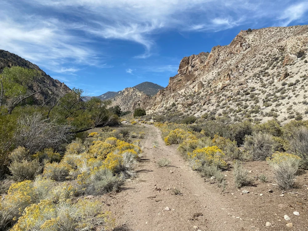  The return downhill road was delightful compared t the rocky climb. 