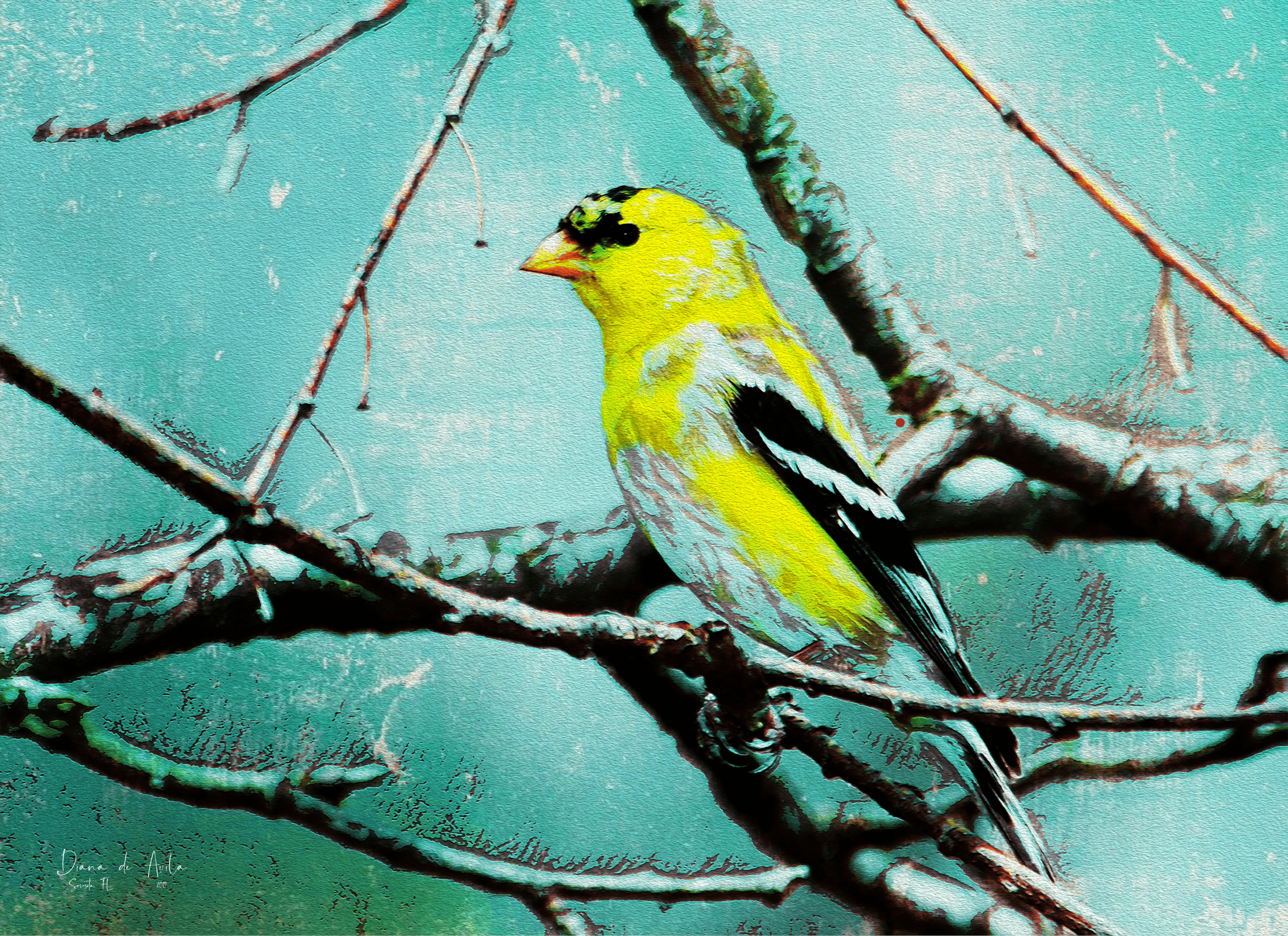 Goldfinch