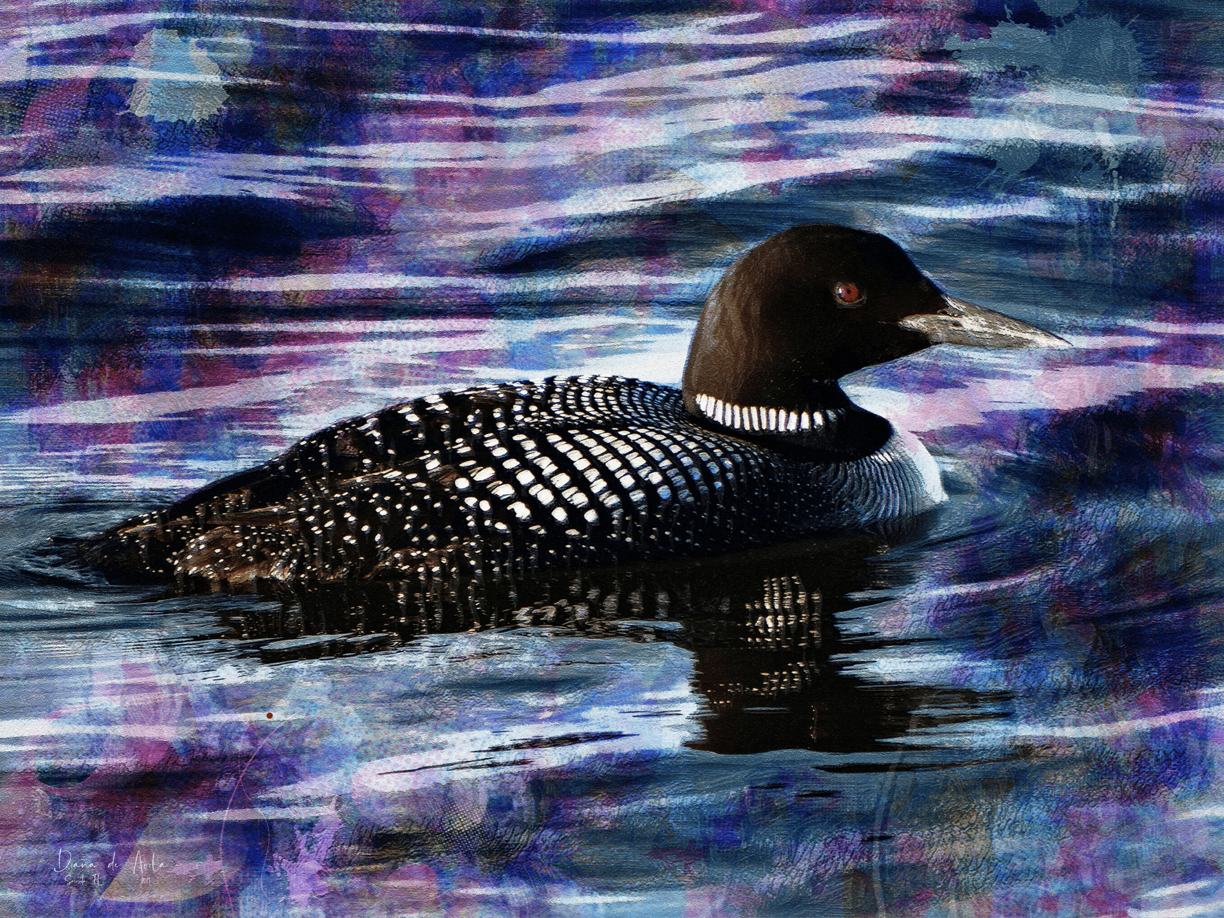 Loon on Purple Waters