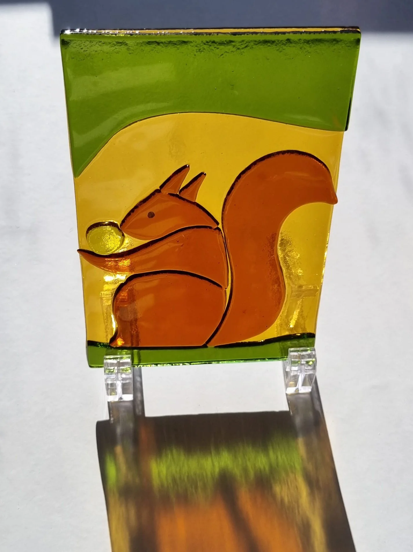 Squirell new.jpg