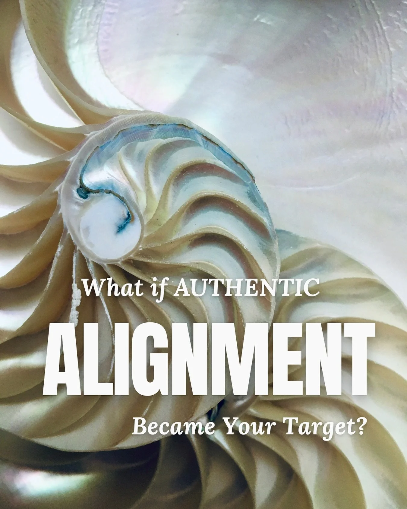 What happens when you shift your goal to authentic alignment?

I M A G I N E 
Decisions come fast, because self-trust is your strategy.
Work &amp; Purpose feel powerful, not pressured.
You move with precision, but from peace.
Your success expands wit
