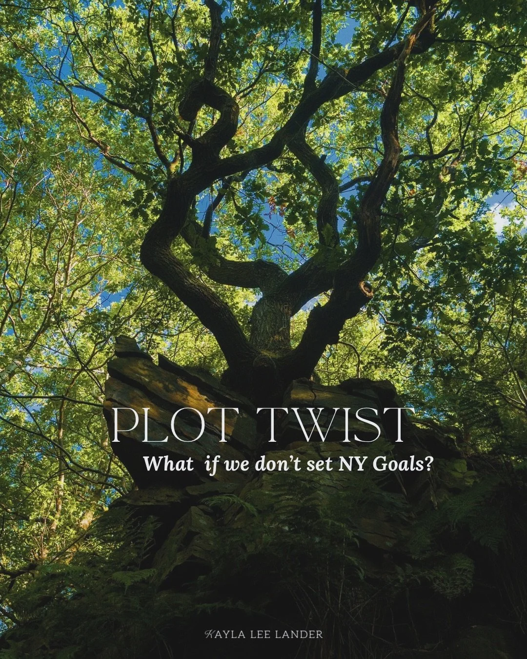 If you&rsquo;re anything like me in this moment,
the second-to-last day of the year,
you&rsquo;re not ready to change it all,
shake everything up,
or launch into a full overhaul.

And that&rsquo;s okay.

I&rsquo;m all about goals.
At one point, my li