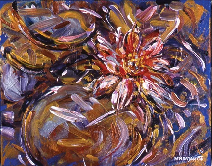 waterlily 4
