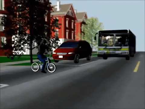 Bus v. Bicycle