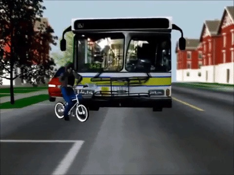 Bus v. Bicycle
