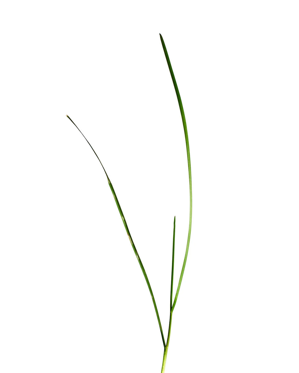 ©Polcyn-Evans_2019-11-11 22-22-37 (A,Radius3,Smoothing2)_w.jpg