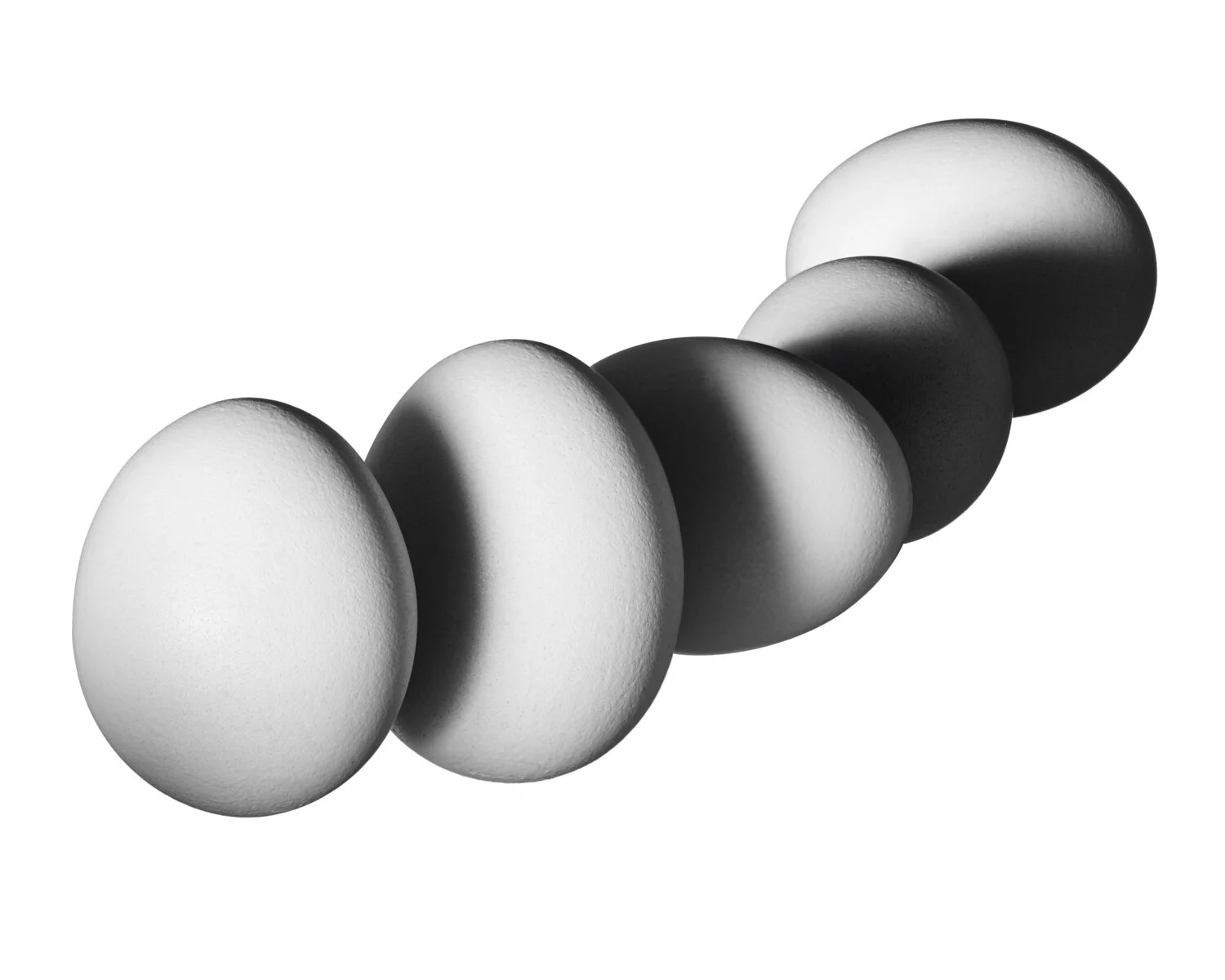 7©Jacob_Polcyn-Evans_2019_08_28_eggs0117_egg3_w_flat.jpg
