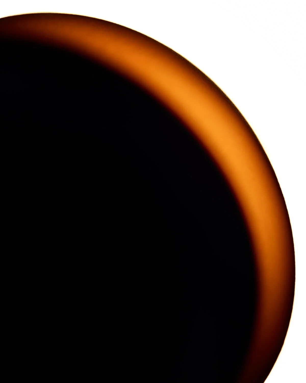 8©Jacob_Polcyn-Evans_2019_08_28_eggs18054_w.jpg