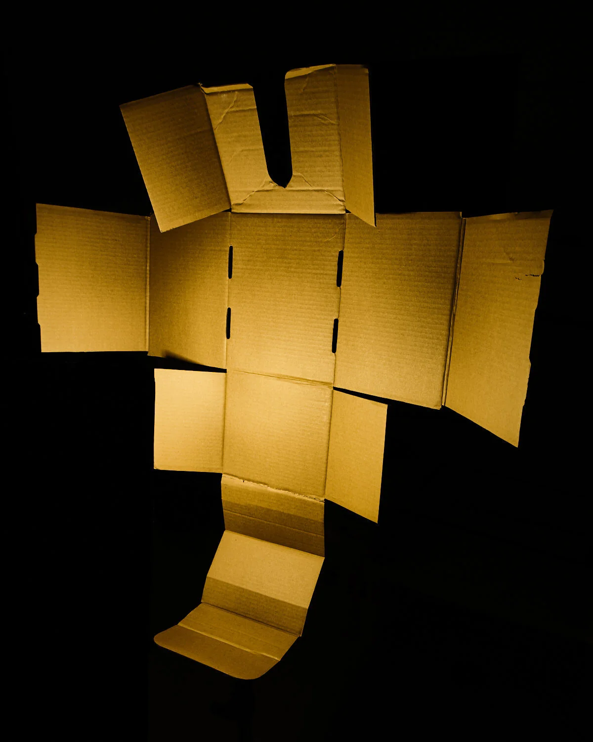 2019_10_2_cardboard0644_Website.jpg