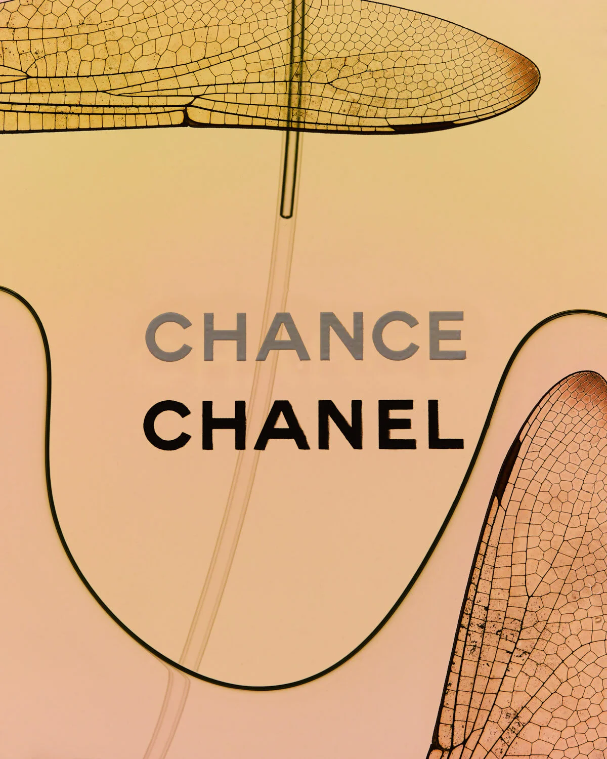 2021_4_20_Chanel_3_w.jpg