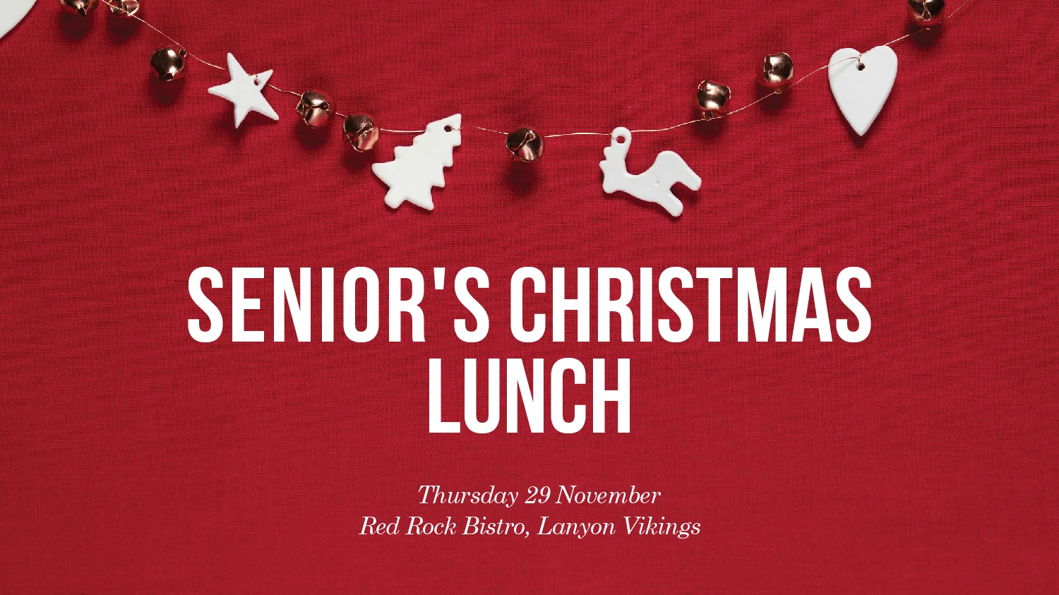 Lanyon_Senior's Christmas Lunch_EDM-1500.jpg
