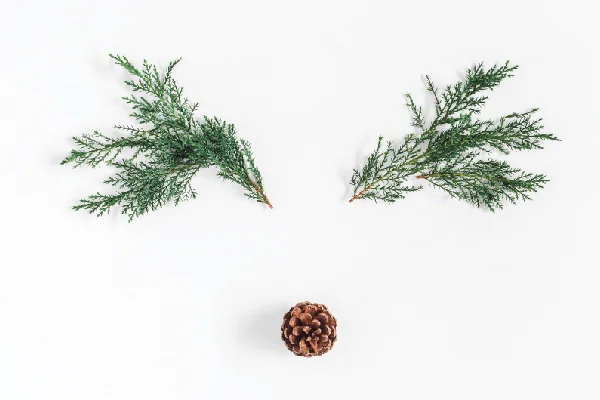 Lanyon_chirstmasinjuly-edm_Large.jpg