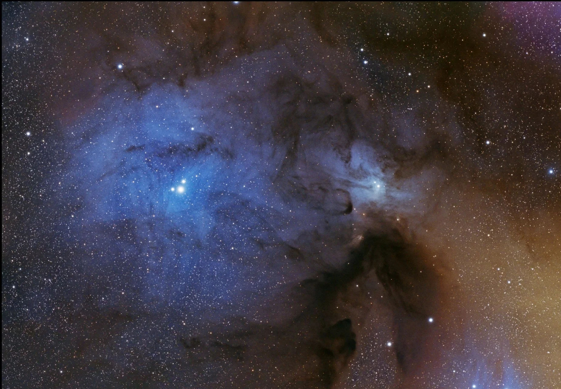 Rho Ophiuchi 5.jpg
