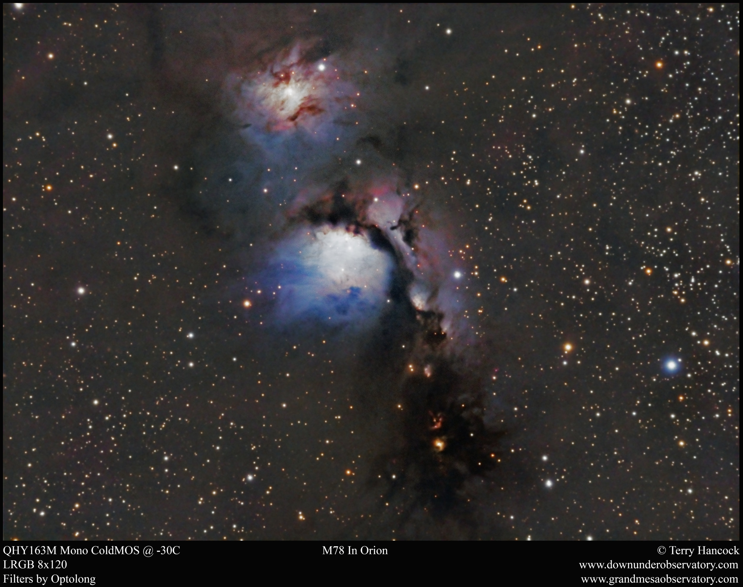 M78_DEC18_QHY163_AT130_8x120_LRGB_Terry Hancock.jpg