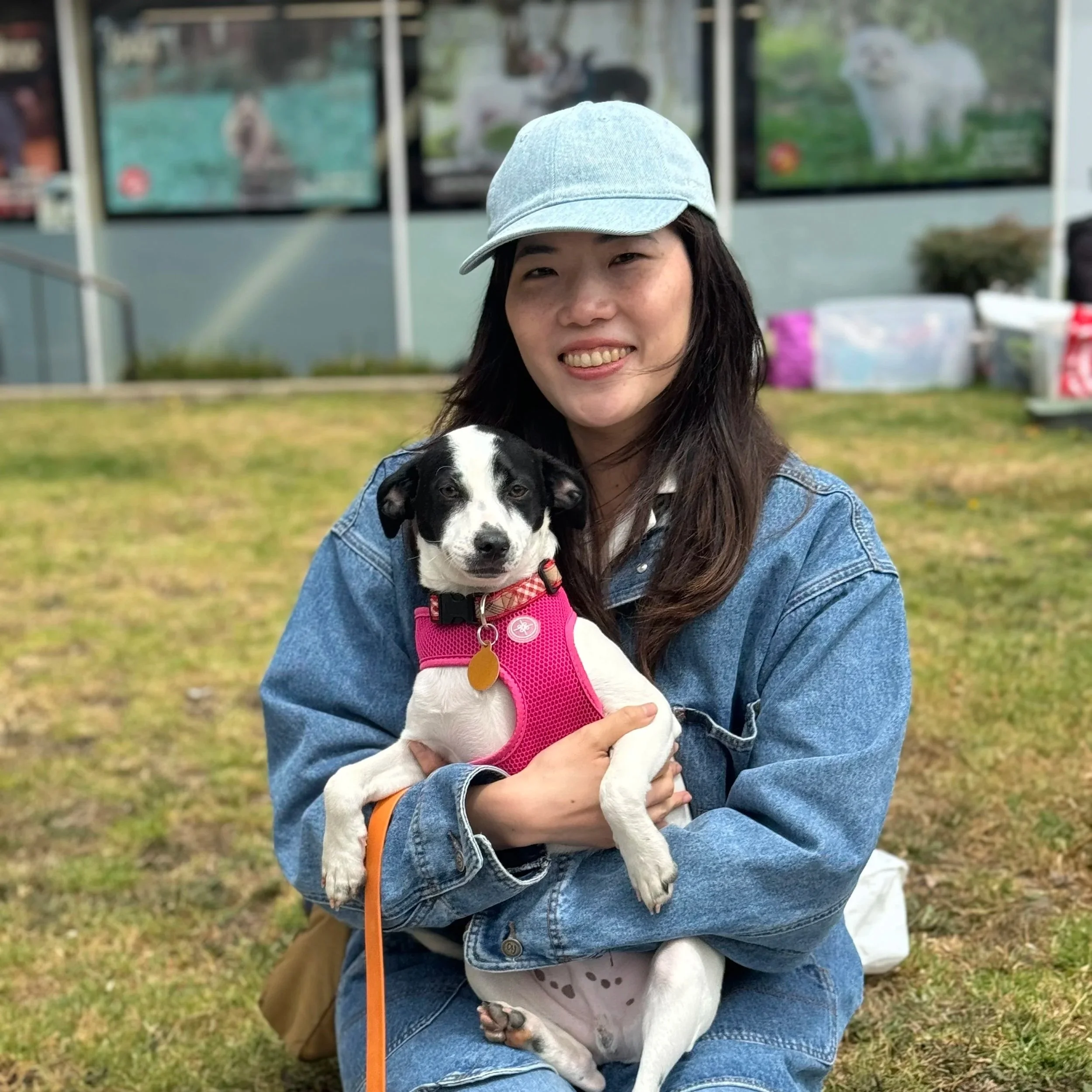 TOTORO - ADOPTED