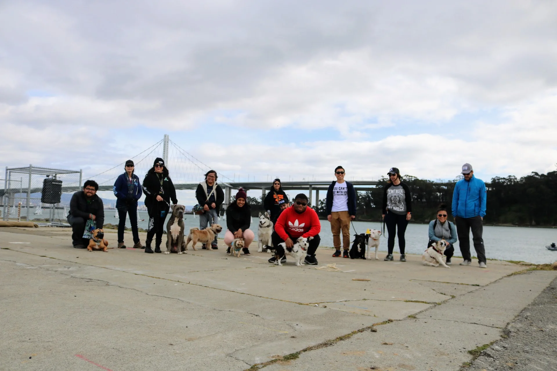 Pack Walk Treasure Island