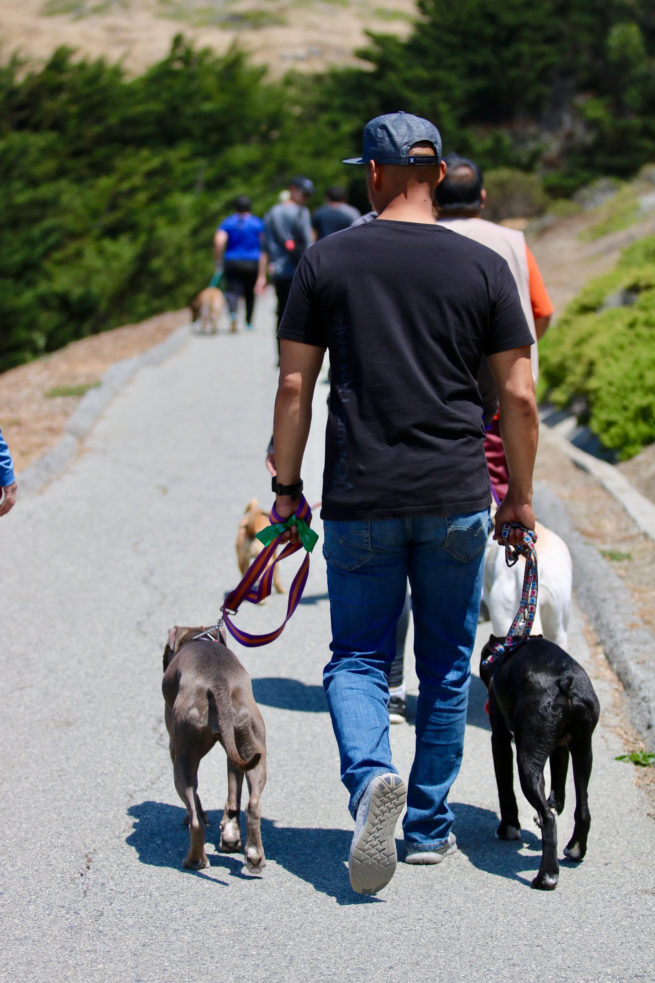 Beyond Rescue Pack Walk, Pacifica, CA