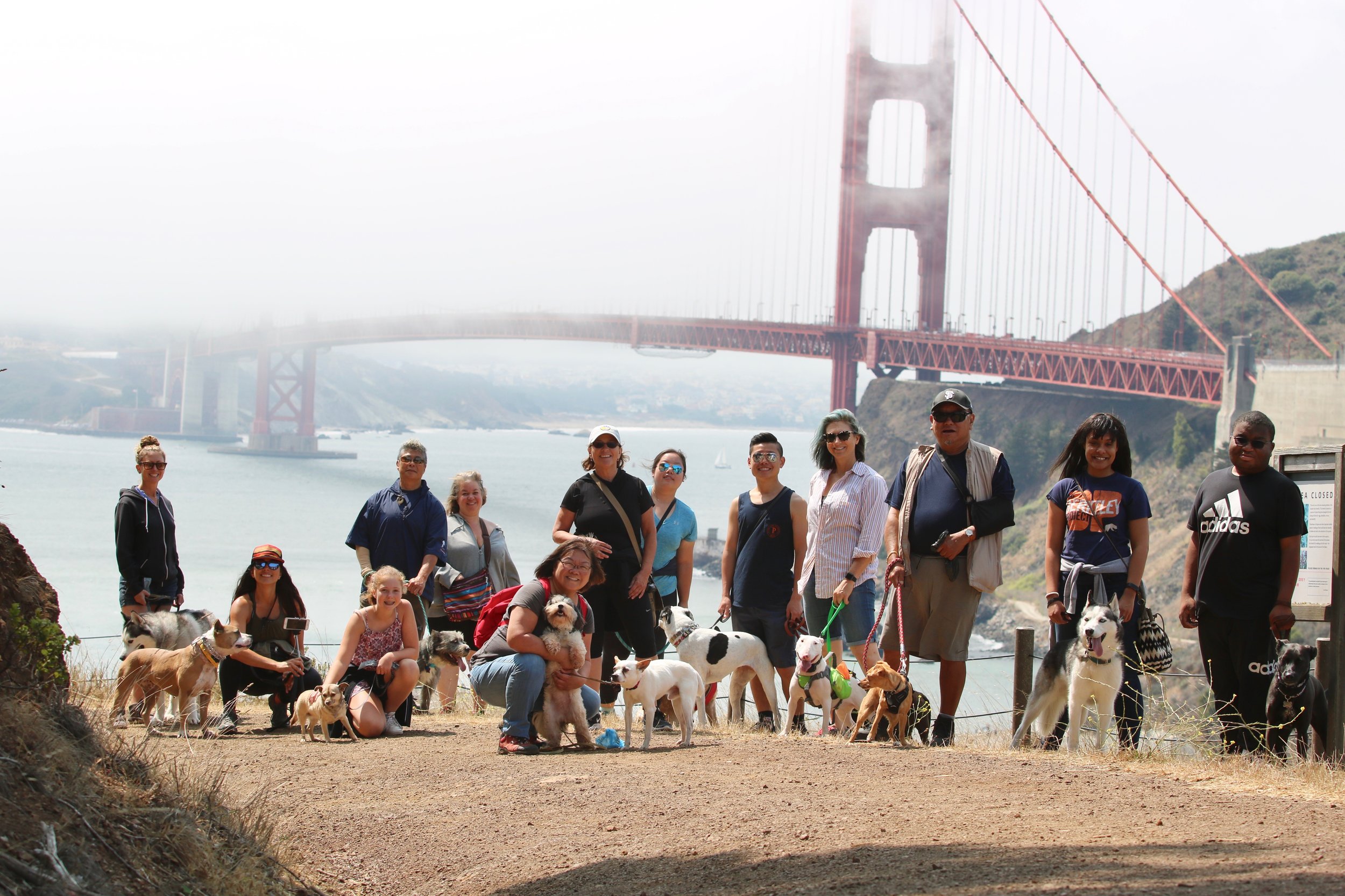 Pack walk Cavallo.jpeg