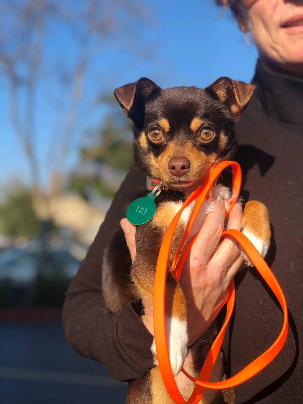  CANCELLED: Adoption Event: Redwood City 