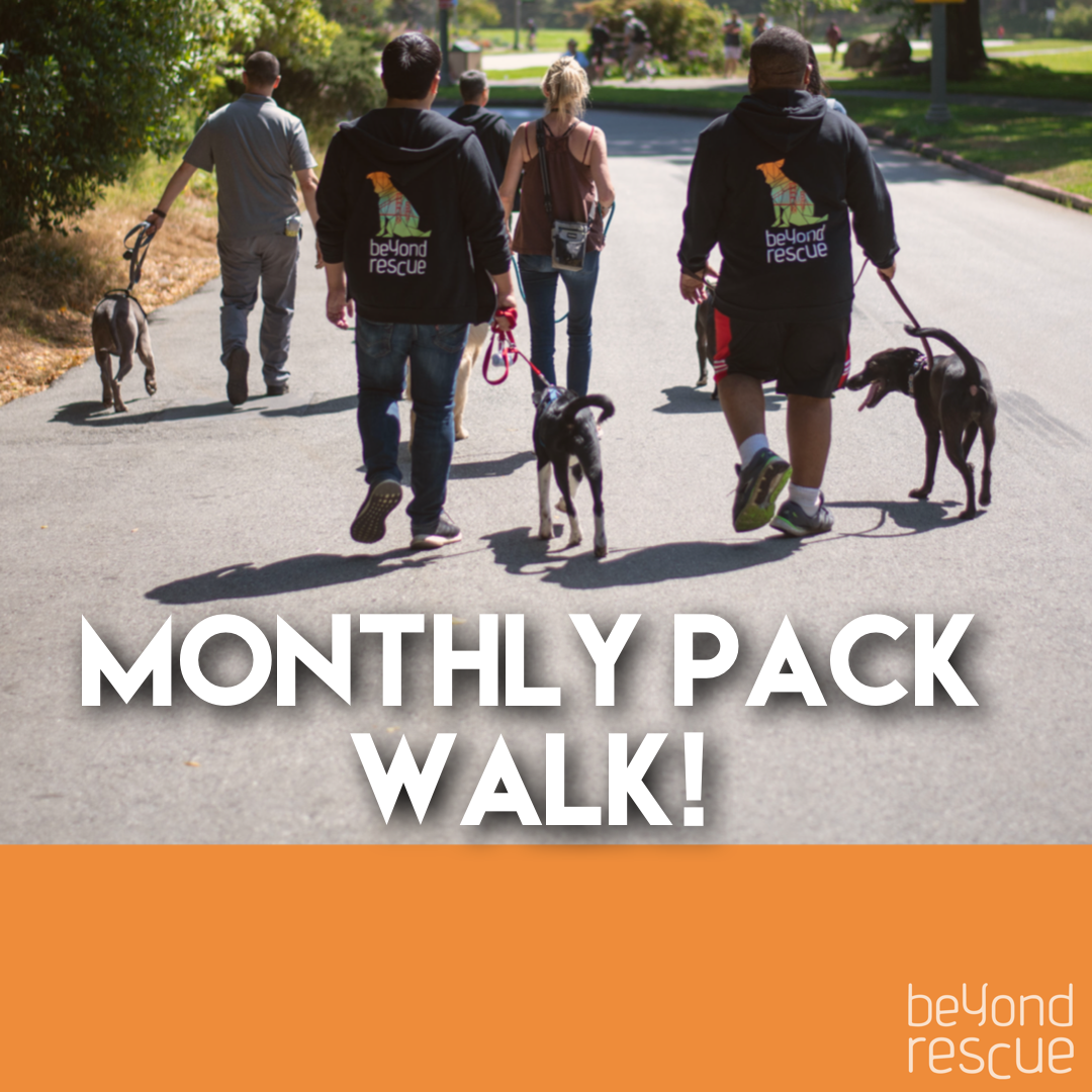 Monthly Pack Walk - Treasure Island