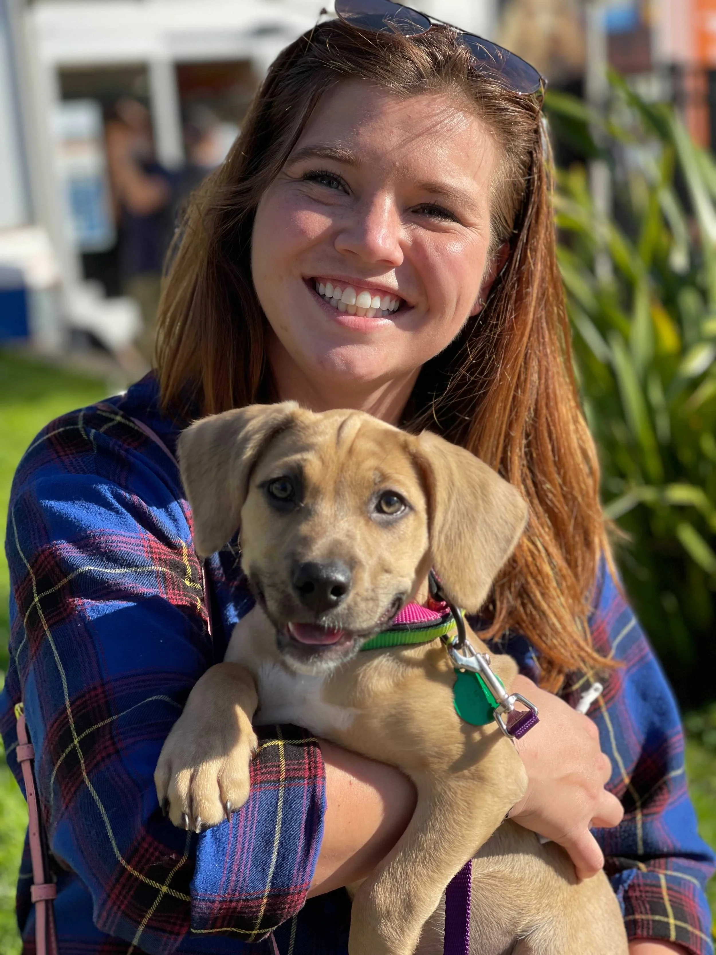 Weekly Adoption Event: San Francisco