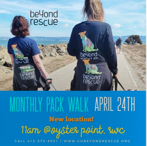 Monthly Pack Walk - Oyster Point (South SF) 