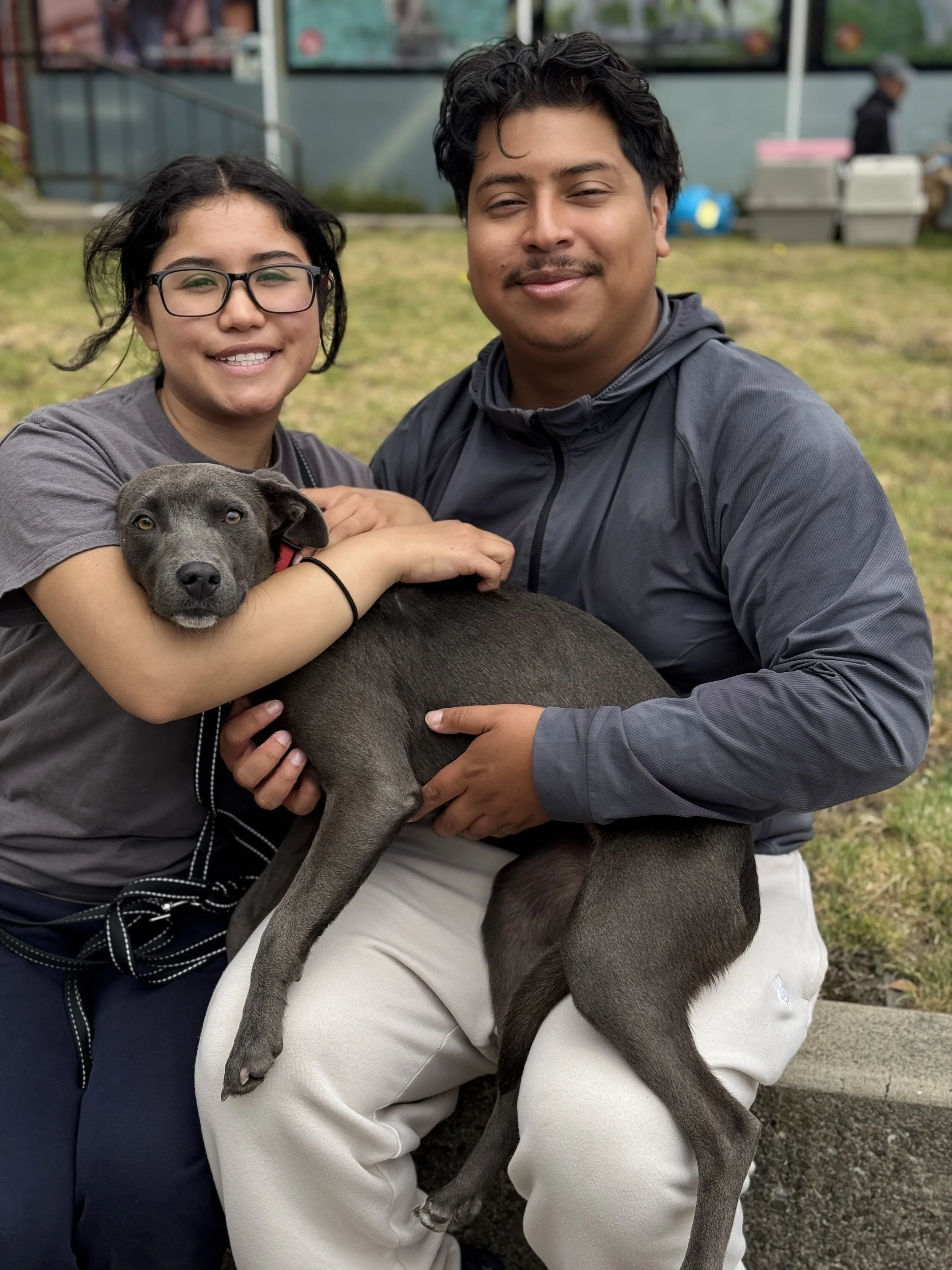 ANGIE- ADOPTED!