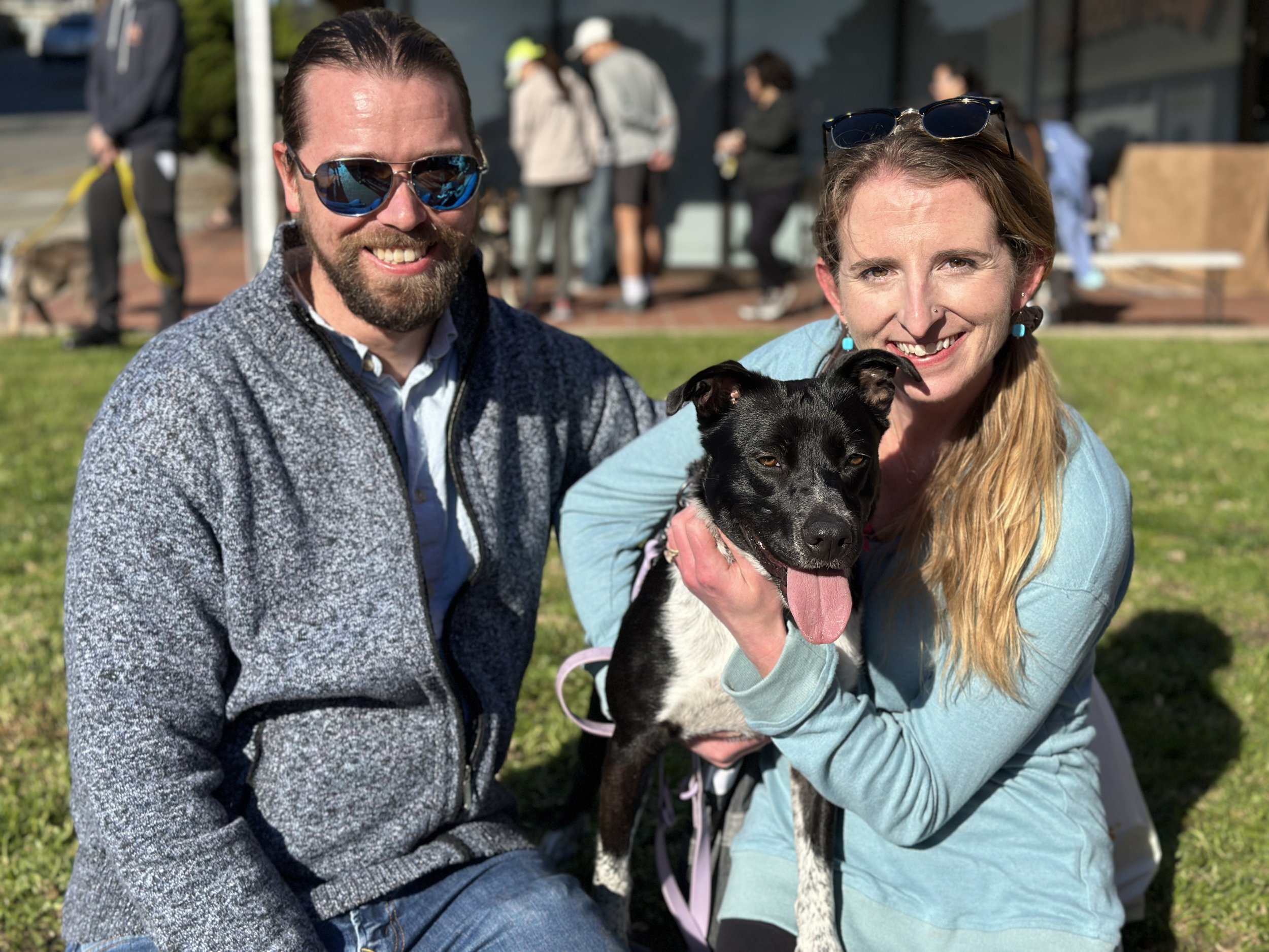 SQUIRREL - Adoption Pending!