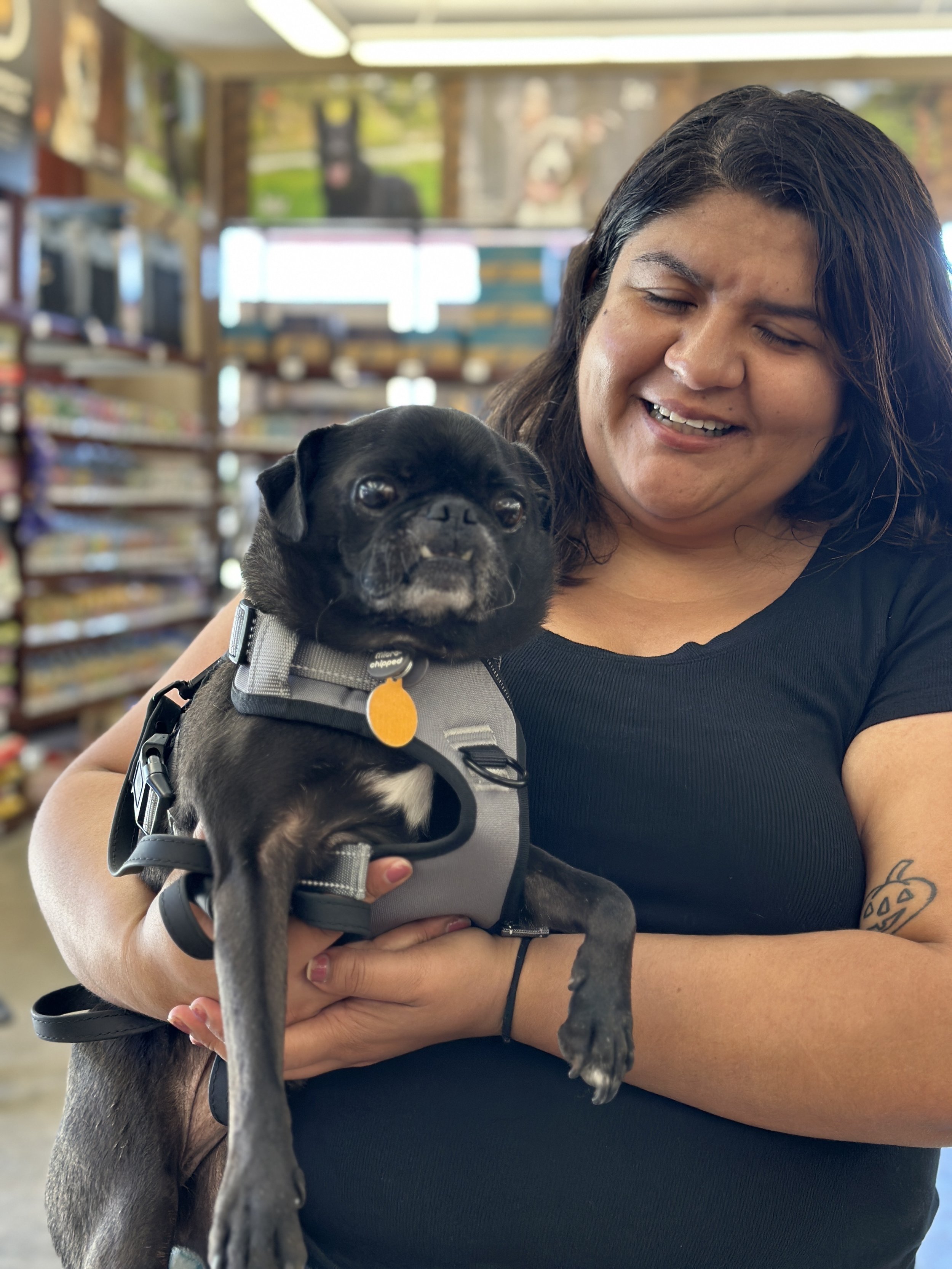 SESAME- ADOPTED