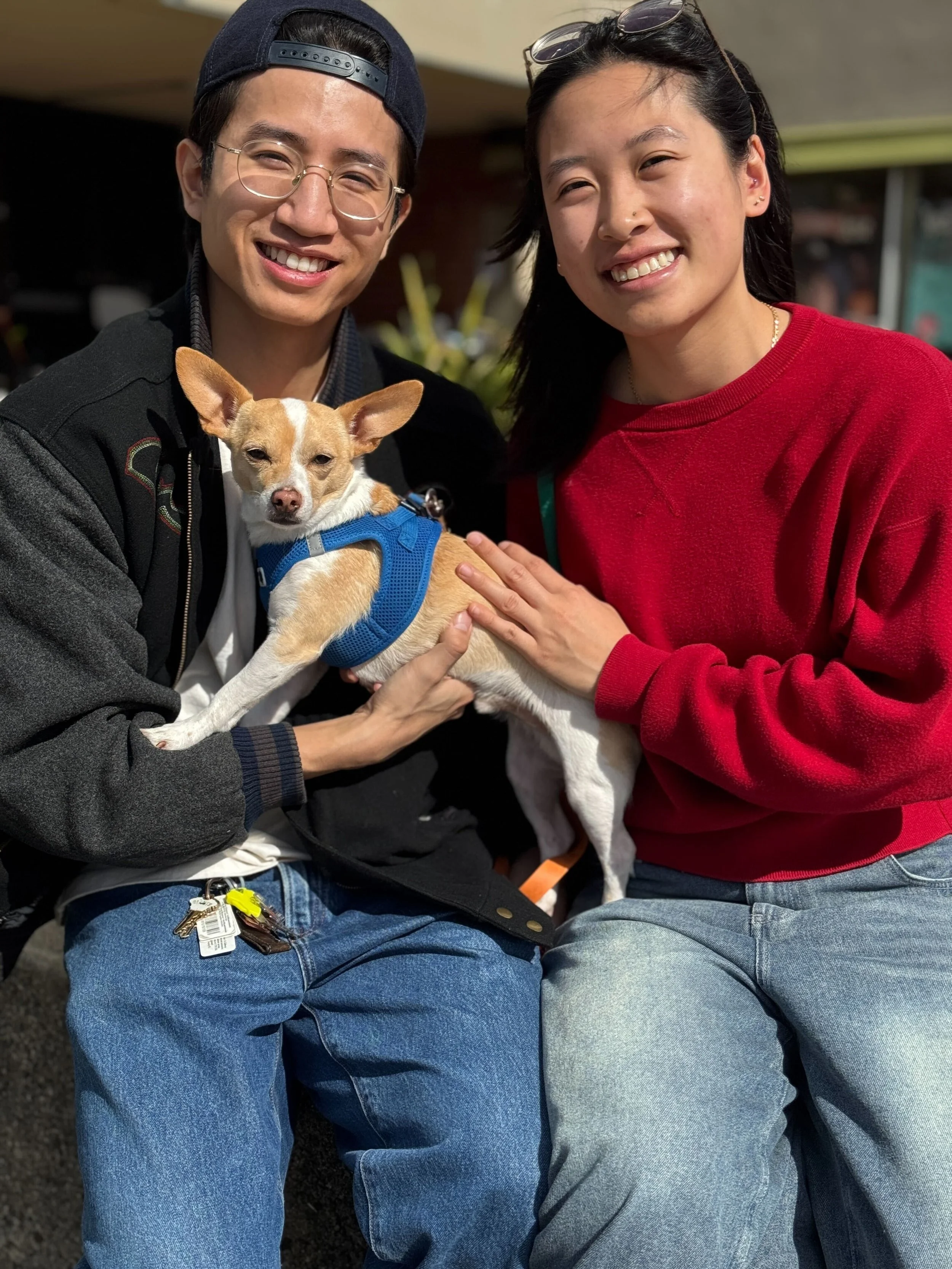 KAMIO - ADOPTED!