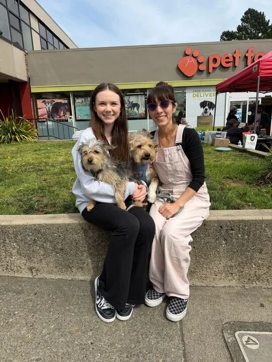REMY - ADOPTED!