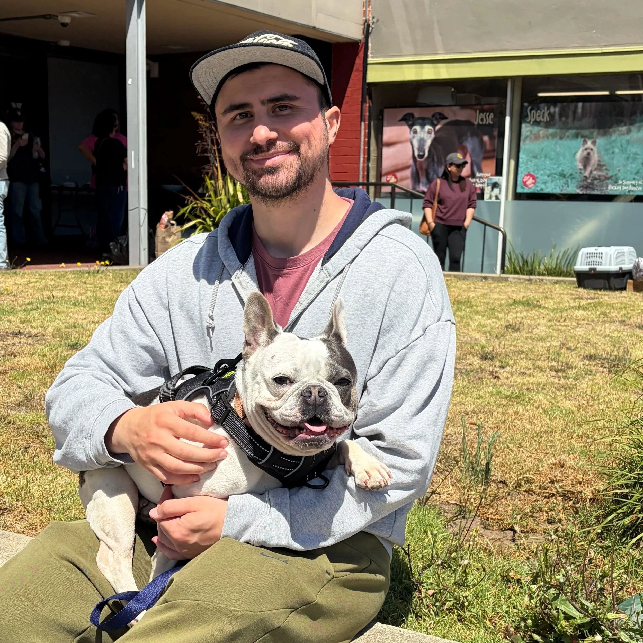 PAULA- ADOPTED!
