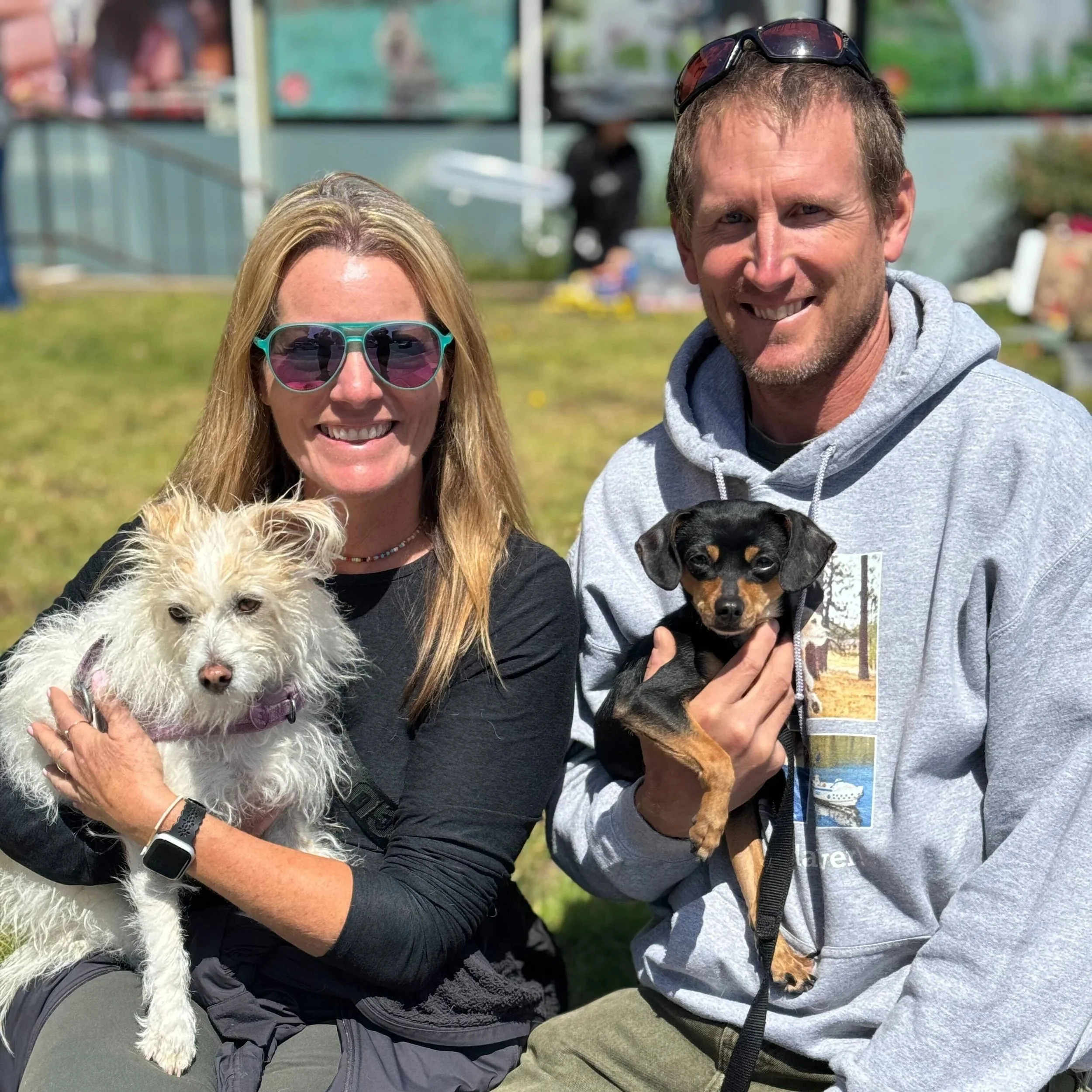 JOANIE - ADOPTED
