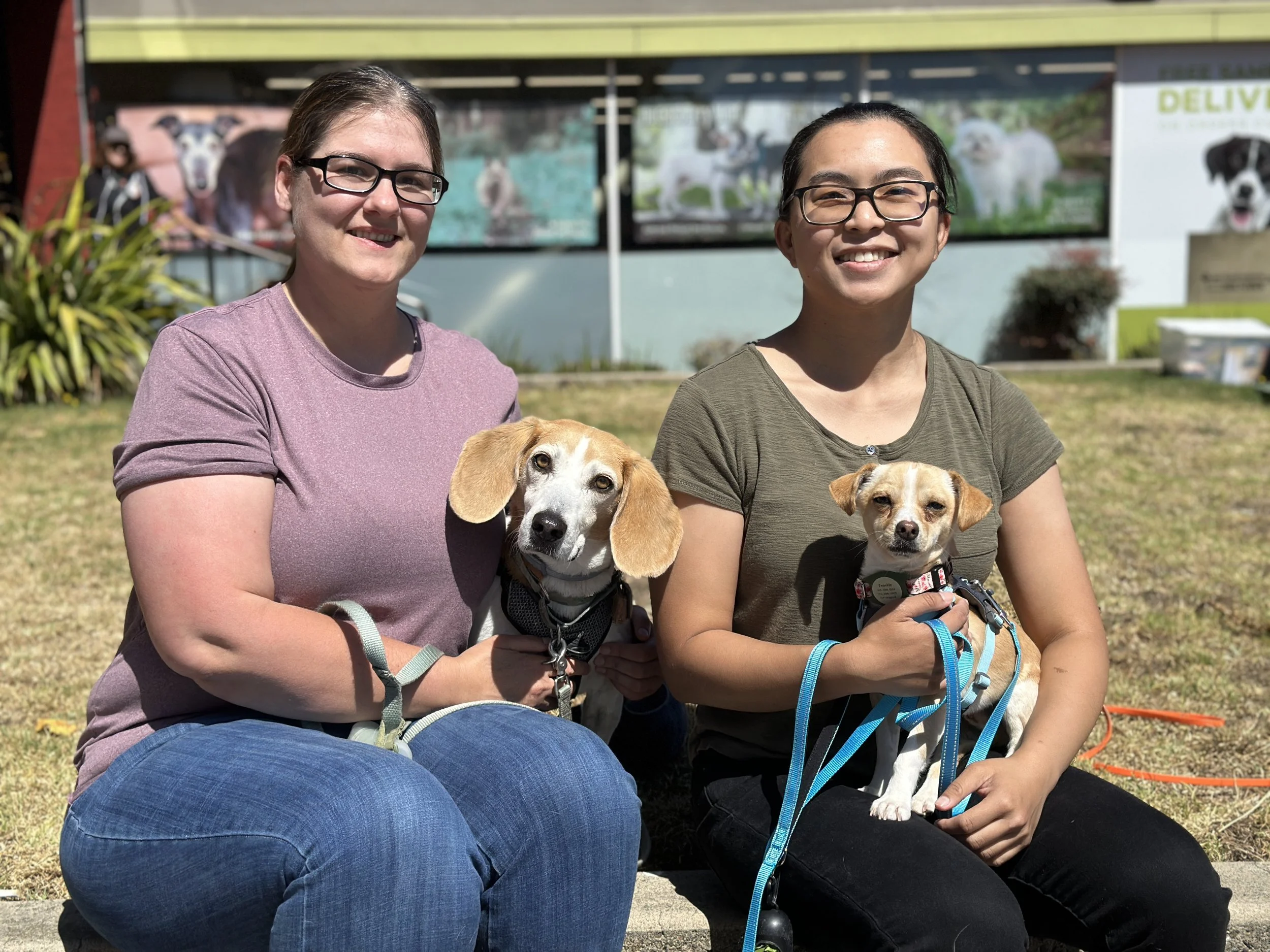 TWINKIE - ADOPTED
