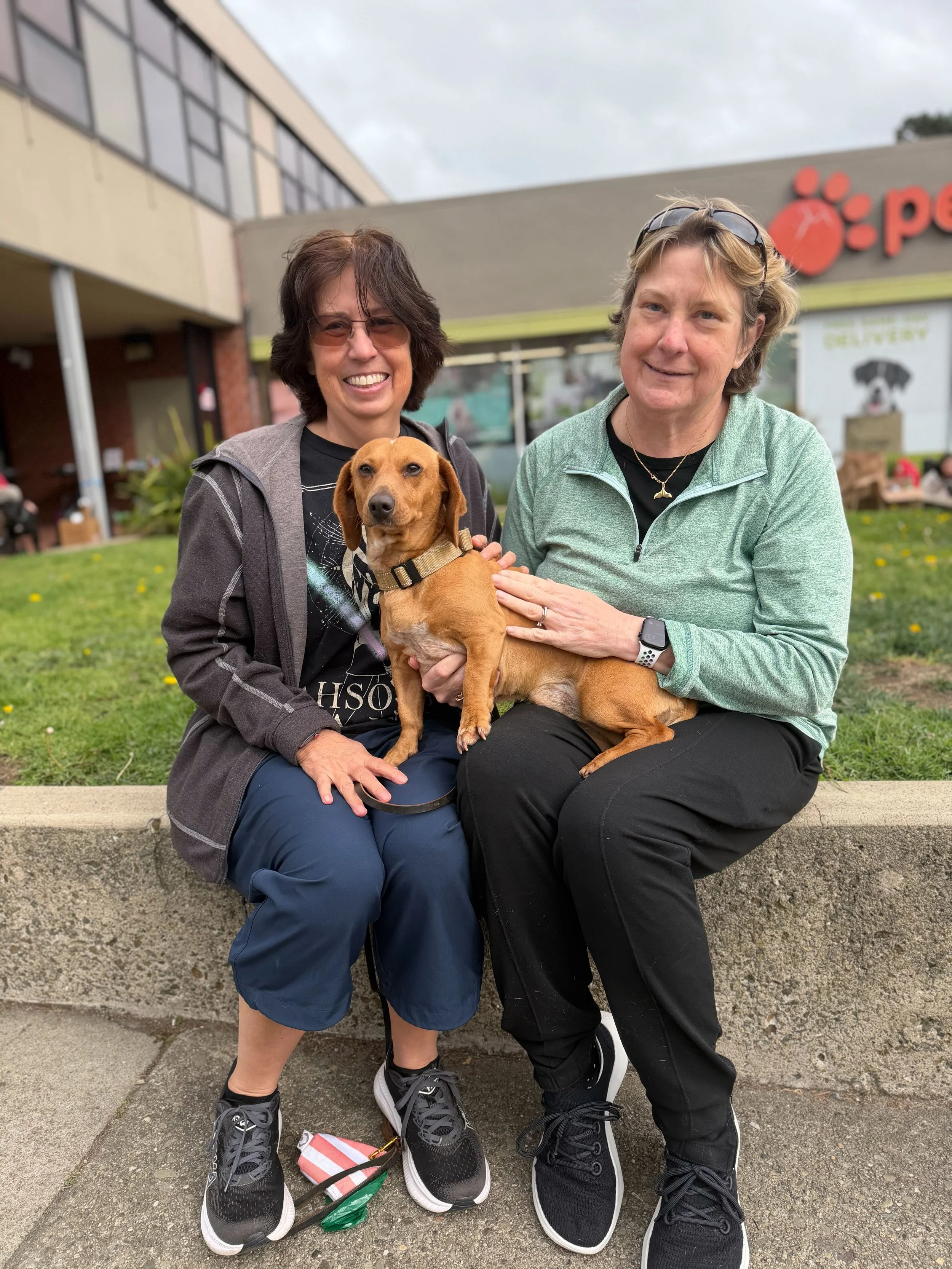 Churro - ADOPTED!